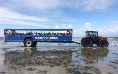 Discovering the island of Mandø in Tracktobus