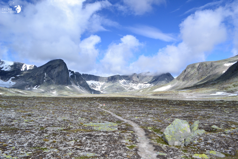 We saw dinosaurs or rather of Musk Oax in Dovrefjell