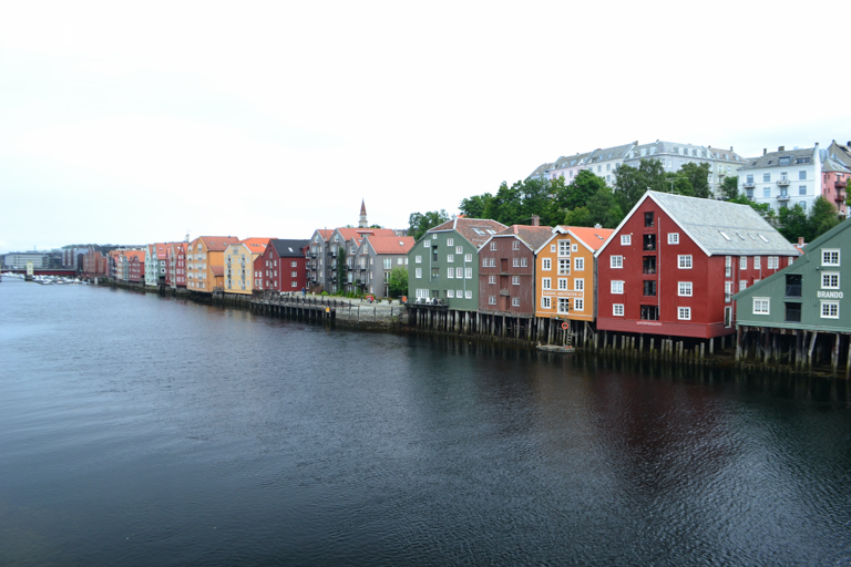 Immersed in life Norwegian in Trondheim